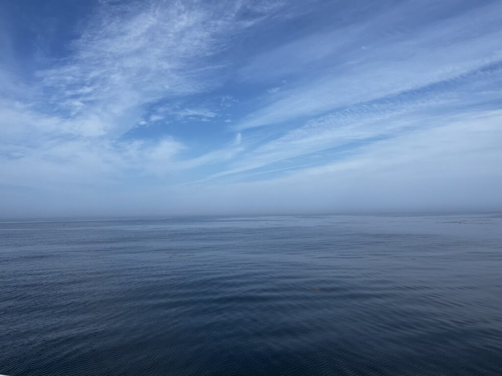 Open ocean